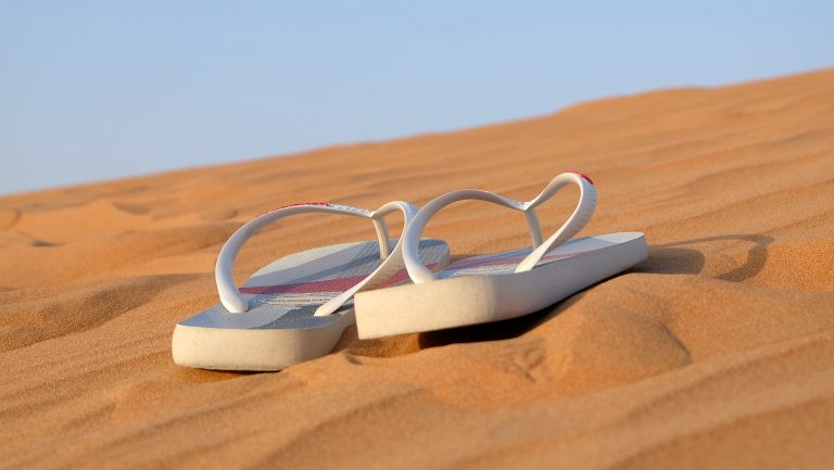 chanclas_flip flop